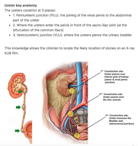 illustrated teaching notes